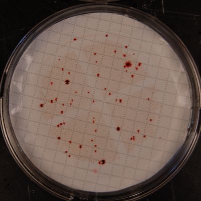 Filtracja membranowa - dobór materiału filtracyjnego