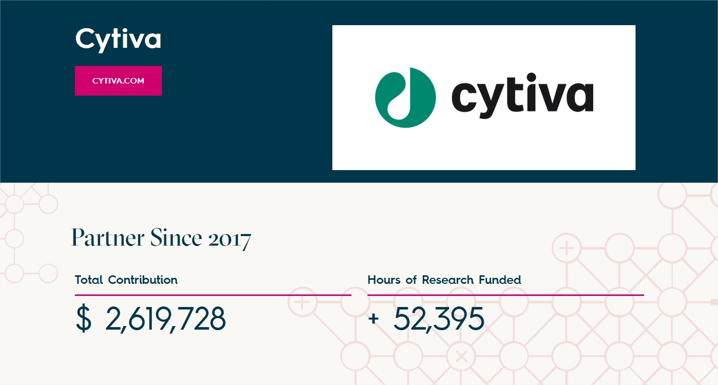 Partnerzy od 2017!