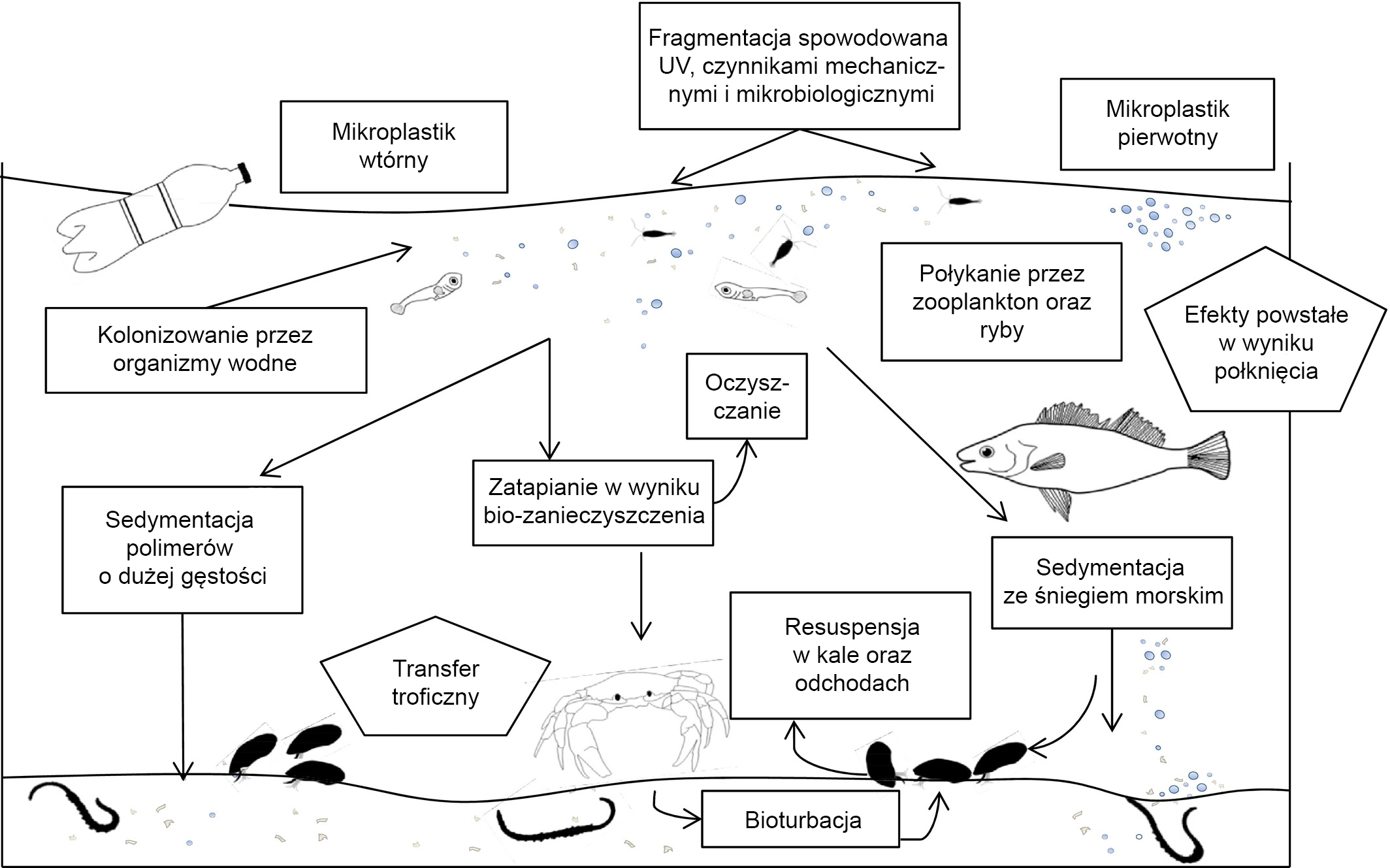 Mikroplastik w środowisku